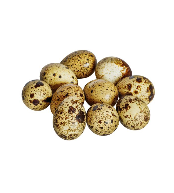 AYEM ZAMEN QUAIL EGGS New Earth